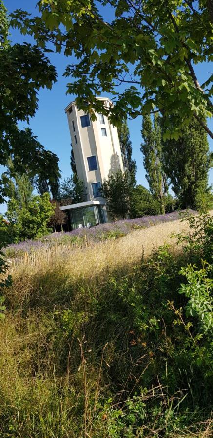 Ferienwohnung Little Joe Hotzelsroda Exteriör bild